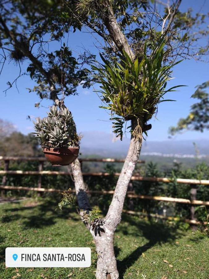 Finca Santa Rosa Teocelo エクステリア 写真
