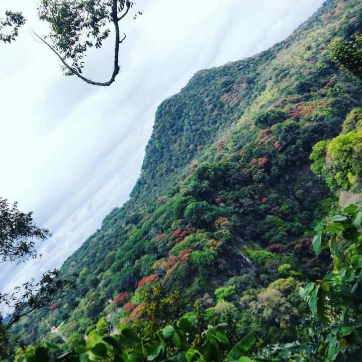 Finca Santa Rosa Teocelo エクステリア 写真